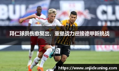 半岛bob·官方网站