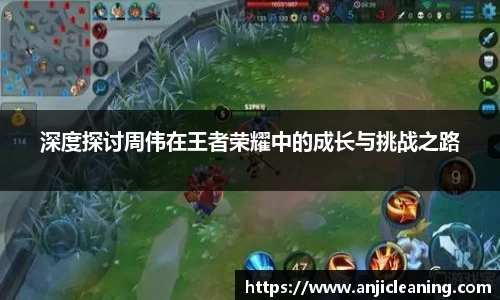 BoB半岛·体育中国官方网站