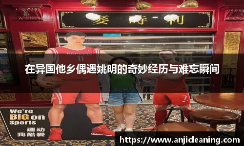半岛bob·官方