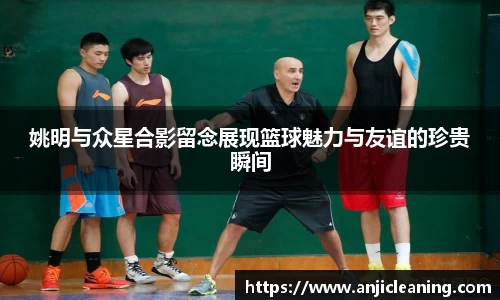 半岛bob·官方网站