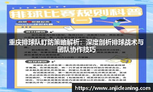 半岛bob·官方网站